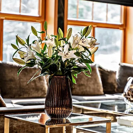 Seidorf מלון קרפאז'